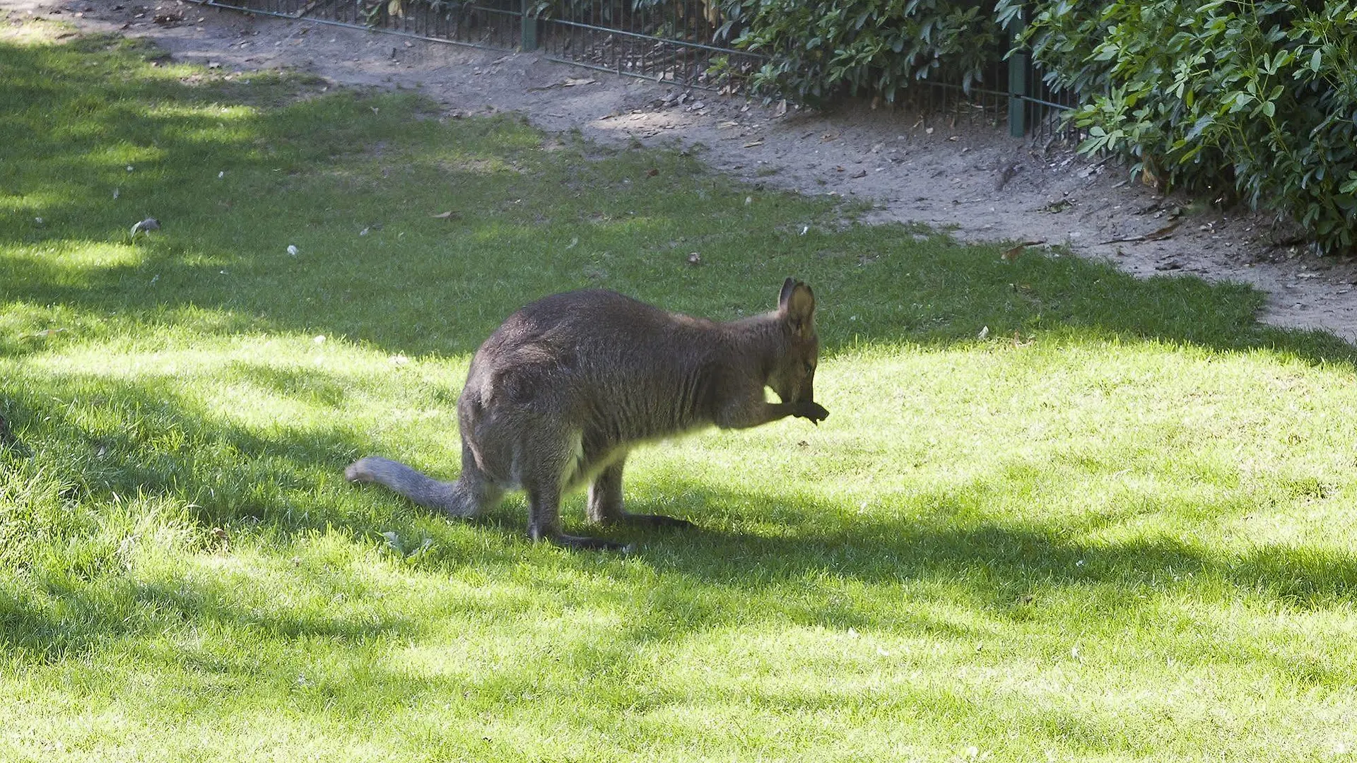 Du Jardin Des Plantes Hotel 3*
